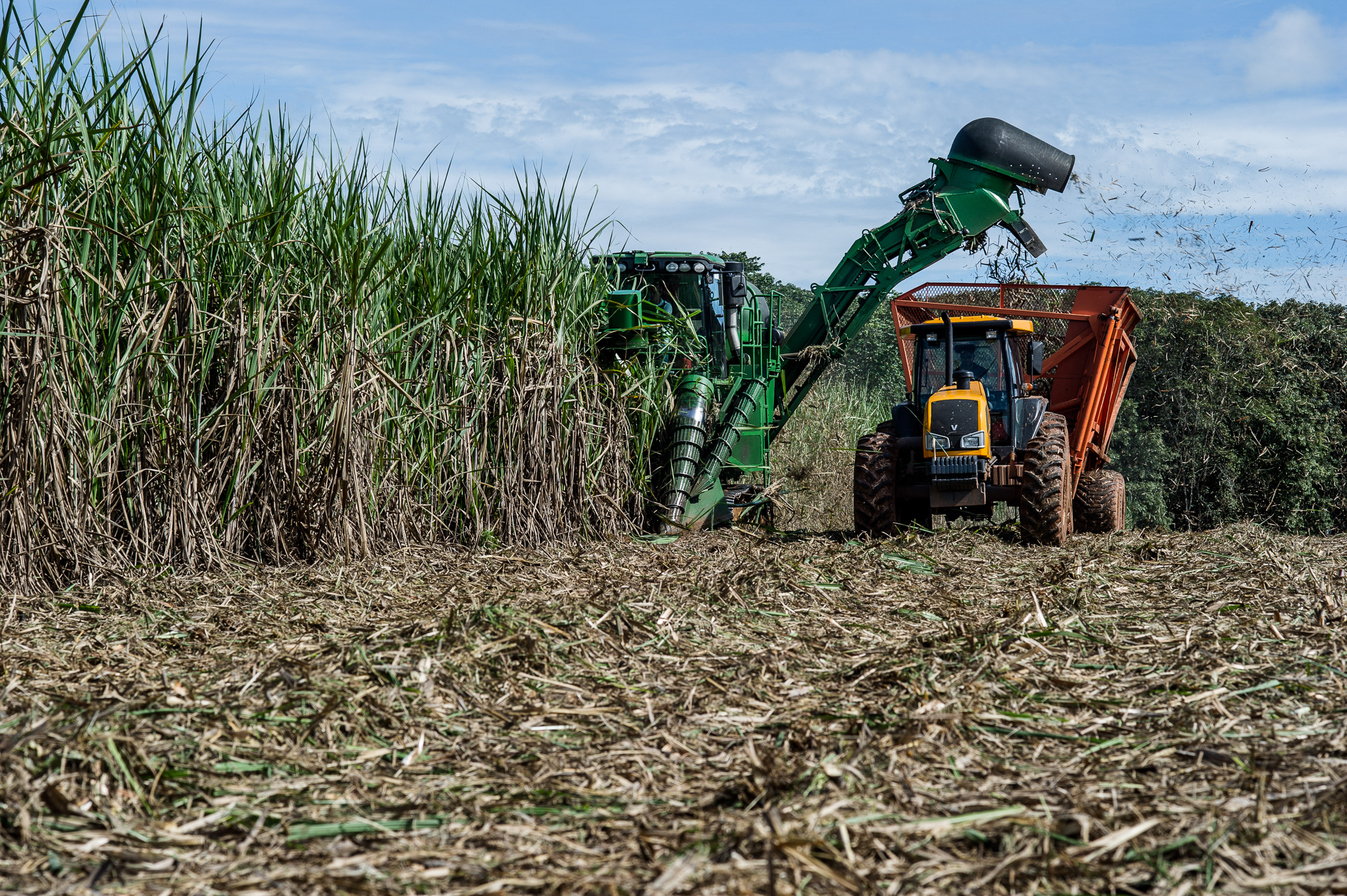 O Brasil é o segundo maior produtor de etanol do mundo/Colheita da cana-de-açúcar em MT/ Mayke Toscano/Gcom-MT
