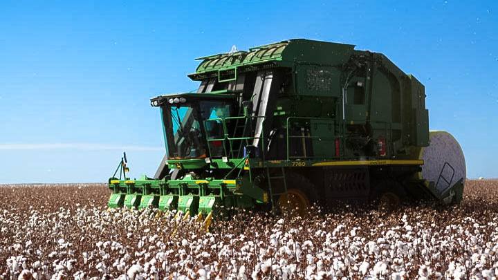Scheffer produz algodão e caroço de algodão, soja, milho e criação e engorda de gado nos estados de Mato Grosso e Maranhão / Scheffer