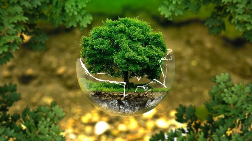 Ignorar o ESG significa colocar em risco a continuidade do ser humano no planeta/Pixabay