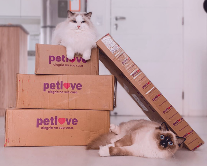 Petlove oferece uma ampla gama de produtos e serviços para animais de estimação/Petlove