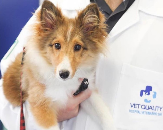 Vet Quality é um hospital veterinário 24 horas com mais de 30 médicos veterinários/Vet Quality