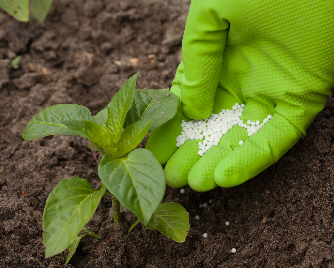  Foram 369 depósitos de patentes para fertilizantes nitrogenados entre 2010 e 2021/Canva