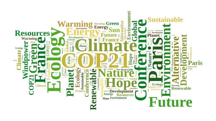 COP 21: ¿Acuerdo histórico o letra muerta?