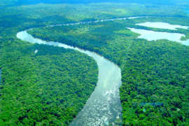 Medida pode ser uma alternativa para a preservação ambiental da Amazônia/ Ascom Ideflor