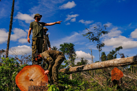 Comunidade internacional pressiona Brasil por políticas efetivas no combate ao desmatamento recorde dos últimos meses/Mayke Toscano/Secom-MT/Fotos Públicas