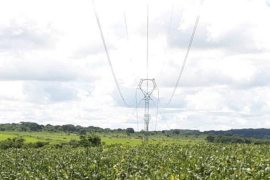 A Brilhante Transmissora de Energia opera uma linha de transmissão de 540 quilômetros e 10 subestações elétricas no estado de Mato Groso do Sul /  Celeo Redes Brasil