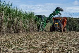 O Brasil é o segundo maior produtor de etanol do mundo/Colheita da cana-de-açúcar em MT/ Mayke Toscano/Gcom-MT