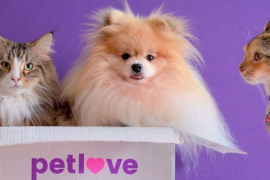 A Petlove opera uma loja online que oferece uma ampla gama de produtos e serviços para animais de estimação/Petlove