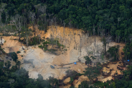Os casos de invasões possessórias, exploração ilegal de recursos e danos ao patrimônio aumentaram/Bruno Kelly/Amazônia Real