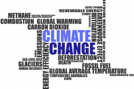 O lançamento do documento coincidiu com a Conferência das Nações Unidas sobre Mudança Climática de 2021, a COP26/Pixabay