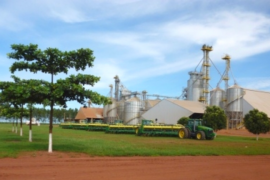 A Insolo tem seus negócios voltados para a produção de grãos e algodão/Insolo