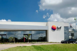 BRF, fusão da Sadia com a Perdigão, é uma das maiores empresas de alimentos do mundo/IBM