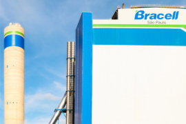 No Brasil, a RGE controla as operações da Bracell, uma das maiores produtoras mundiais de celulose, com unidades de produção na Bahia e em São Paulo./Bracell