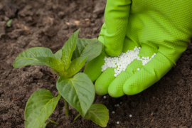  Foram 369 depósitos de patentes para fertilizantes nitrogenados entre 2010 e 2021/Canva