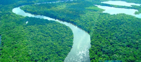 Medida pode ser uma alternativa para a preservação ambiental da Amazônia/ Ascom Ideflor