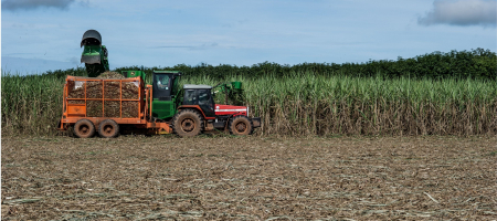 Técnica de produção do etanol brasileiro tem reais chances de gerar boas oportunidades de negócios/Fotos Públicas