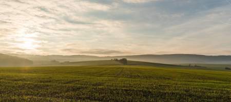 3,98 milhões de hectares de terras agrícolas no Brasil pertencem a estrangeiros, segundo o Incra/Pixabay