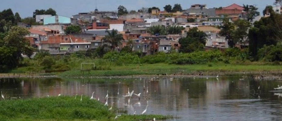O Código Florestal determina que as faixas marginais no entorno de qualquer curso d'água natural são consideradas APPs/Rovena Rosa / Agência Brasil