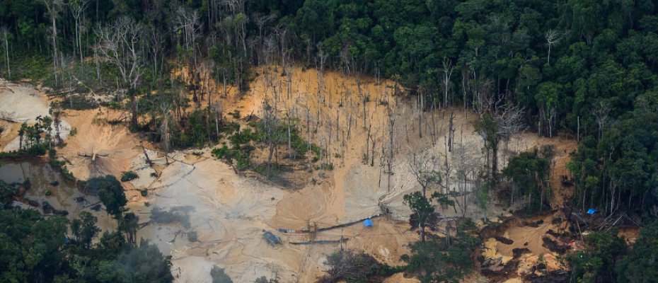 Os casos de invasões possessórias, exploração ilegal de recursos e danos ao patrimônio aumentaram/Bruno Kelly/Amazônia Real