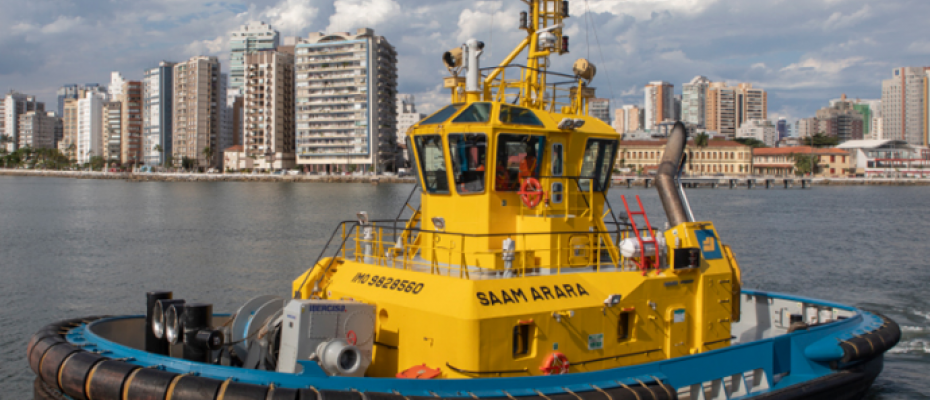 SAAM é uma empresa multinacional de origem chilena que presta serviços ao comércio internacional através de terminais portuários, rebocadores e logística/SAAM