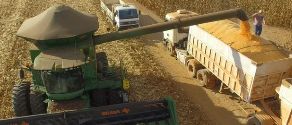 FS é a primeira produtora de etanol do Brasil 100% a partir do milho/FS