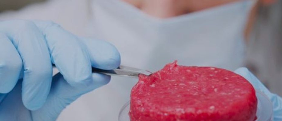 JBS, maior produtora de proteína animal do mundo está investindo mais de US$ 60 milhões para desenvolver carne cultivada, em Santa Catarina./ Bio Tech Foods - website.